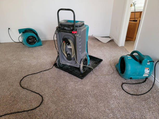 Best Water damage mitigation services  in Glen Dale, WV