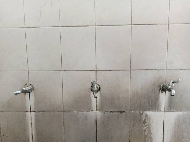 Best Fire Damage Restoration  in Glen Dale, WV