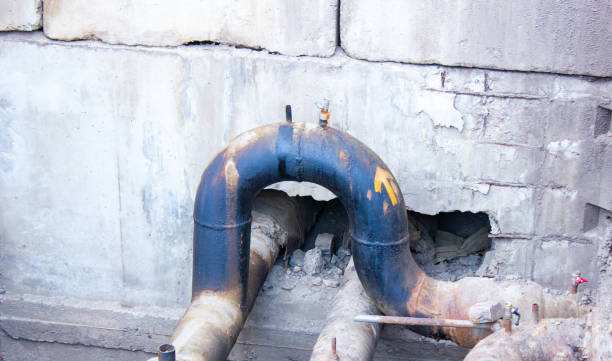 Best Water damage cleanup near me  in Glen Dale, WV