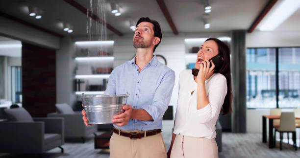 Best Sewage cleanup and water damage restoration  in Glen Dale, WV