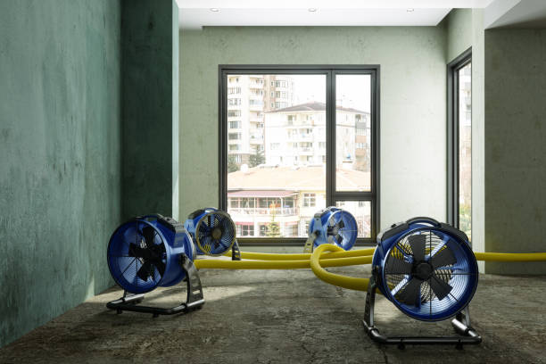  Glen Dale, WV Water damage restoration Pros
